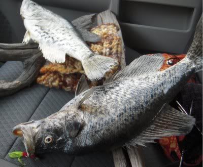 Lake Of The Ozarks: Craigslist Lake Of The Ozarks